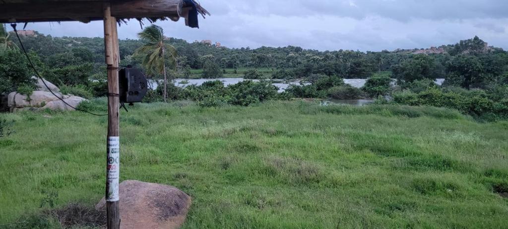 Monkey Paradise هامبي المظهر الخارجي الصورة