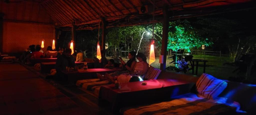 Monkey Paradise هامبي المظهر الخارجي الصورة