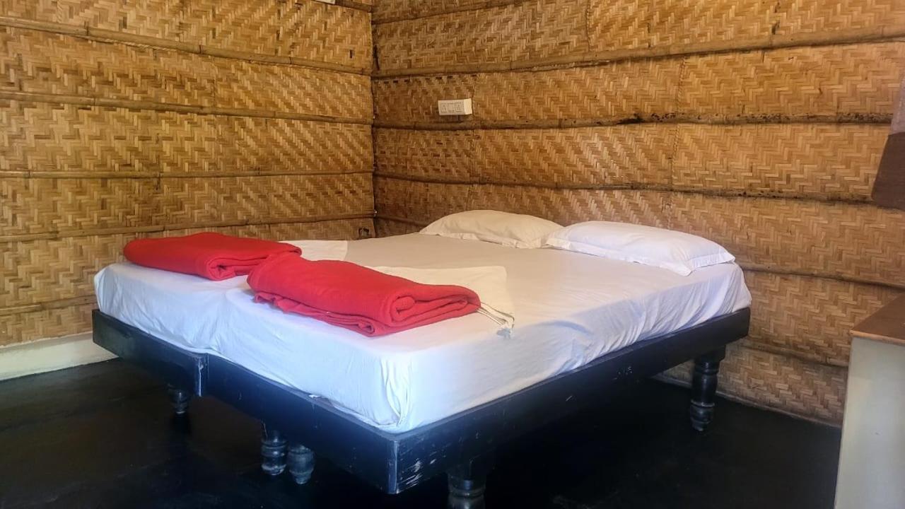 Monkey Paradise هامبي المظهر الخارجي الصورة